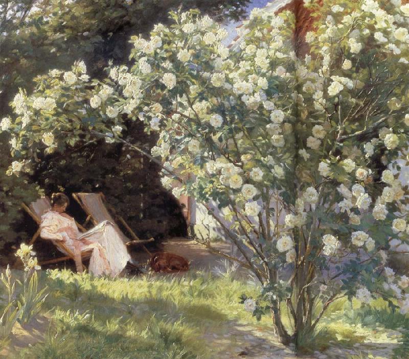 Peder Severin Kroyer Rose Garden oil painting image